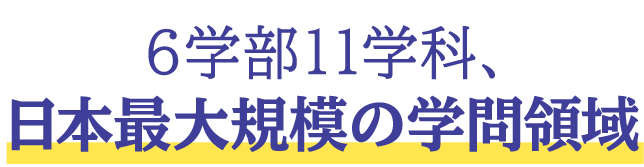 学問領域 オンライン 学説明特設サイト 佛教 学 通信教育課程